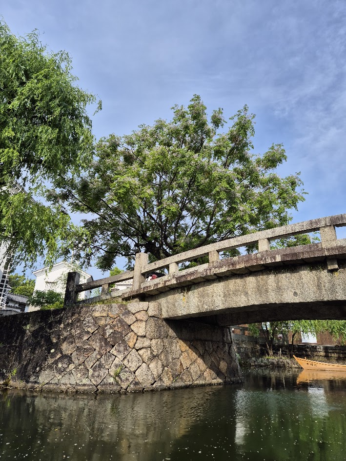 Beyond the Dot: Seeking Adventure and Ikigai