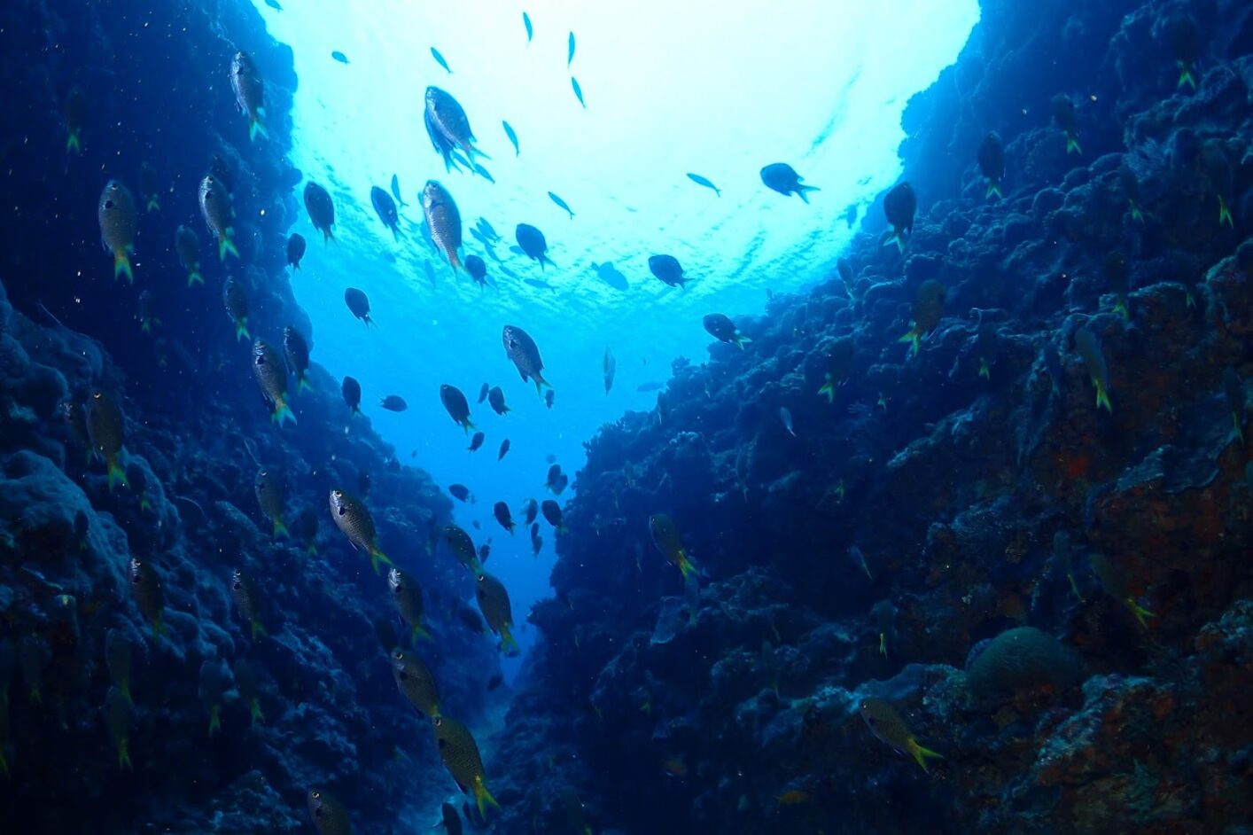 Seeking Deeper Meaning: What I’ve Been Reading